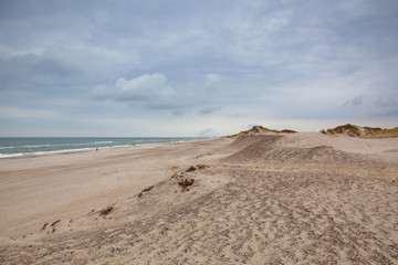 Fototapeta na wymiar Holmsland Dunes next to Hvide Sande in Denmark