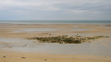 Vast Sand to the Horizon