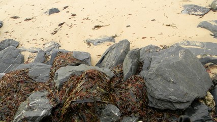 What the Water Left