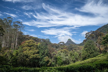 Sri Pada, Adam's peak in Sri Lanka