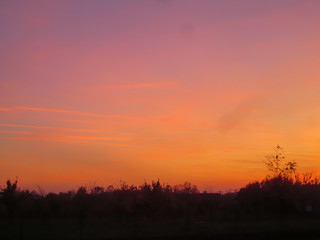 sunset over the field