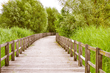 Treetop Walk in Bavarian forest