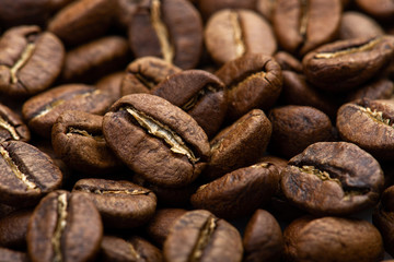 Coffee beans close-up background. Fresh roasted