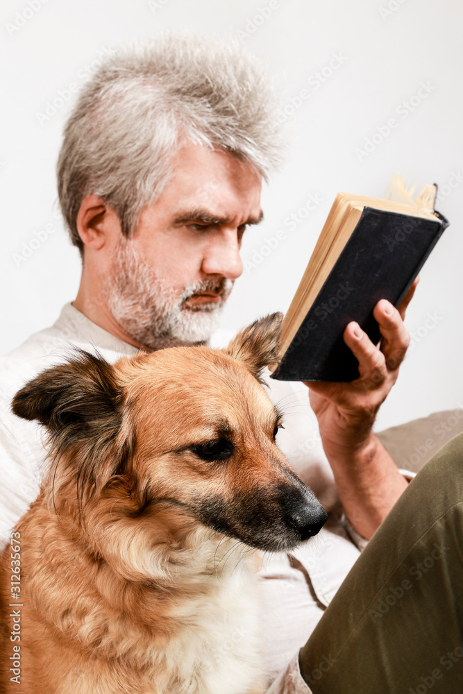 Wall mural Man reading a book with his lovely dog