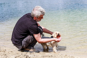 Man bathes a dog at the beach