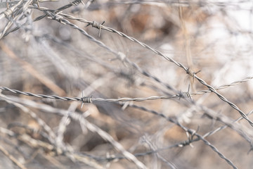 impenetrable barbed wire. No Trespassing concept. 
