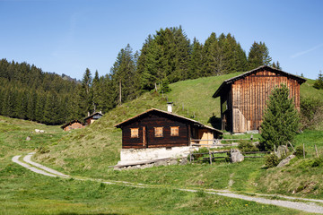 Fototapeta na wymiar Sommerliche Alpenlandschaft mit Almhütten