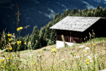 Sommerlandschaft in den Alpen