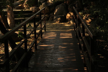 Fototapeta premium Steel or iron bridge on the garden with sunlight shadow. steel or iron footpath,walkway on the park with sunlight shadow