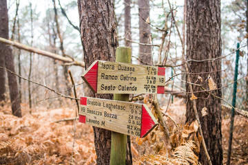 wooden sign in forest