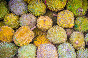 group of fresh durian background