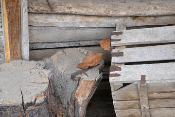 old wood texture and wooden background