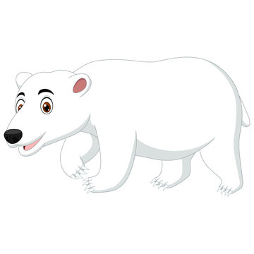 A polar bear cartoon isolated on white background
