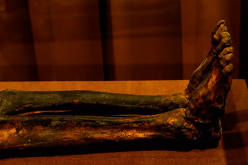 Legs of ancient mummy close-up