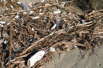 Plastic bottle waste on wild sea coast polluted ecosystem,planet save concept 