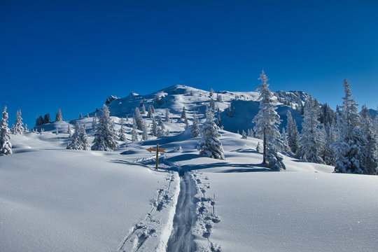 Perfekte frisch verschneite Winterlandschaft in den Alpen (Montafon / Vorarlberg / &Ouml;sterreich)