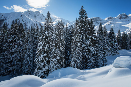 Verschneites Gauertal (Montafon / Vorarlberg / &Ouml;sterreich)