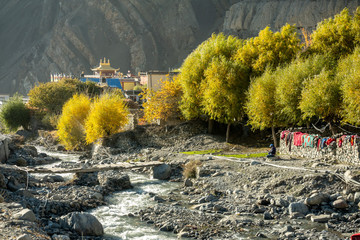 Bright Yellow Trees across the River