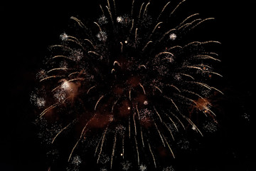 Delicate burst of golden fireworks in night sky. Pyrotechnic show
