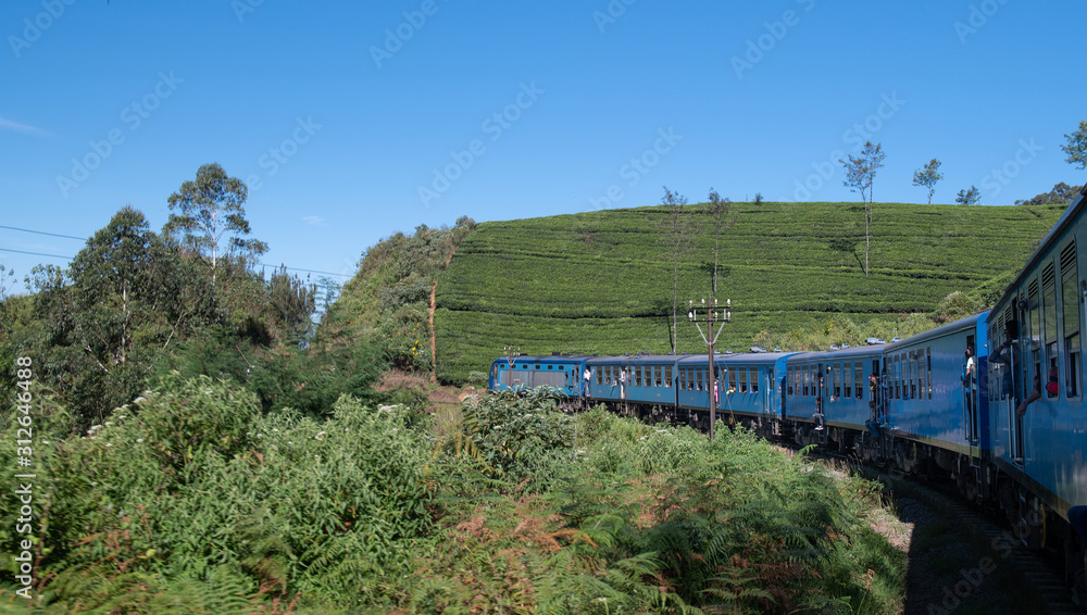 Wall mural Famous blue train journey in Ella, Sri lanka