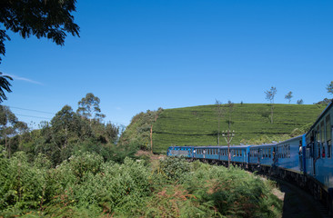 Fototapeta na wymiar Famous blue train journey in Ella, Sri lanka
