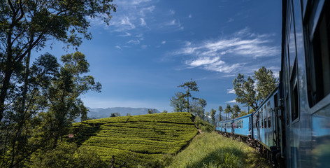Famous blue train journey in Ella, Sri lanka