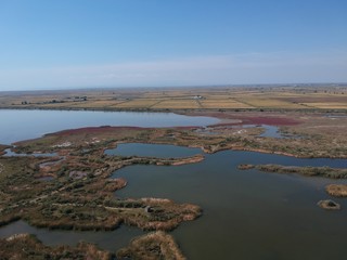 Aerial shot from a drone of a swampland and a long widning dirt road that goes along the riverbed that is created from the delta of Axios river in Thessaloniki, Greece.