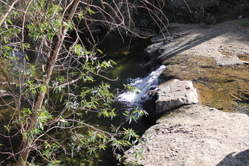 naturaleza