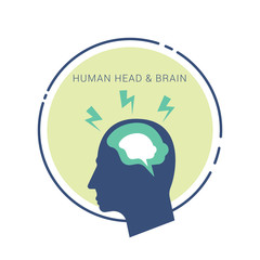 Human head with brain. Head with brain isolated