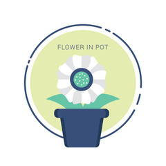 Flower in a pot vector isolated