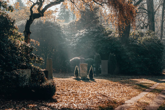 Monring sun shines over tomb stone in Ohlsdorf Cemetery during fall, Hamburg city, Germany