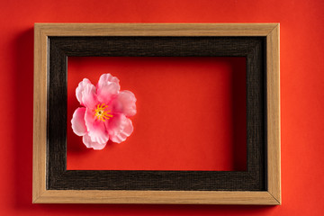 Pink flower and and empty frame against red background