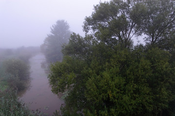 Fototapeta na wymiar Dense autumnal fog on the wetland, Crna Mlaka