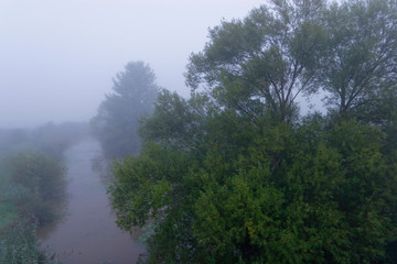 Fototapeta na wymiar Dense autumnal fog on the wetland, Crna Mlaka