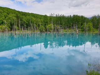 Shirogane Blue Pond/Lake in the summer