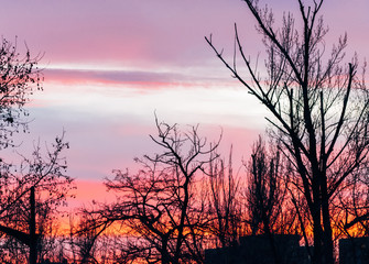 sunset with reddish sky behind the trees
