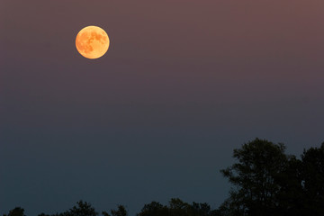Obraz premium Moon and twilight on the lake