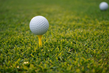 Golf ball on tee in beautiful golf course at sunset background.