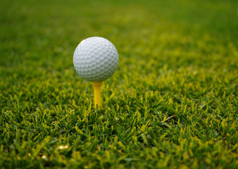 Golf ball on tee in beautiful golf course at sunset background.