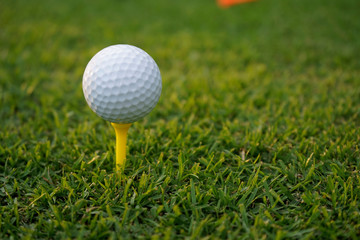 Golf ball on tee in beautiful golf course at sunset background.