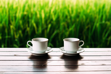 White tea cups on a beautiful background. White coffee cups against the background of rice terraces in Bali. Two white tea cups on saucers. Cups on a beautiful background. Still life