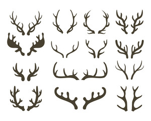 Antlers and horns set vector