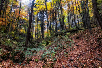 Ojcowski Park Narodowy