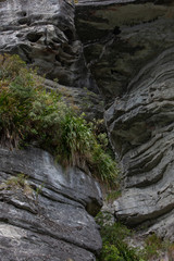 Te Urewera National Park. New Zealand. Rock formations