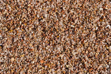 Small pebbles form the background of the sea shore. Coarse multicolor sand.