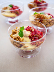 Fresh bright red plum crumble in the dessert bowl