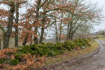  landscapes and trails near Fuentes de Peñacorada