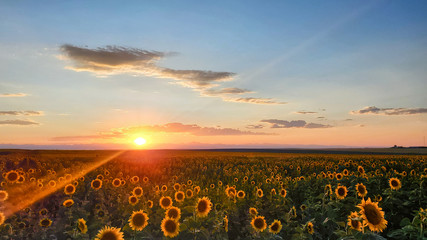 The Setting Sun