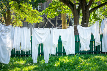 Vintage underwear drying in a sunny garden