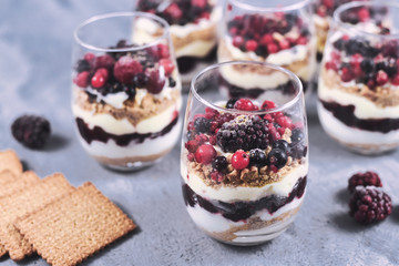 Homemade layered red berry fruit, cookie crumbs and cheesecake cream dessert in glasses